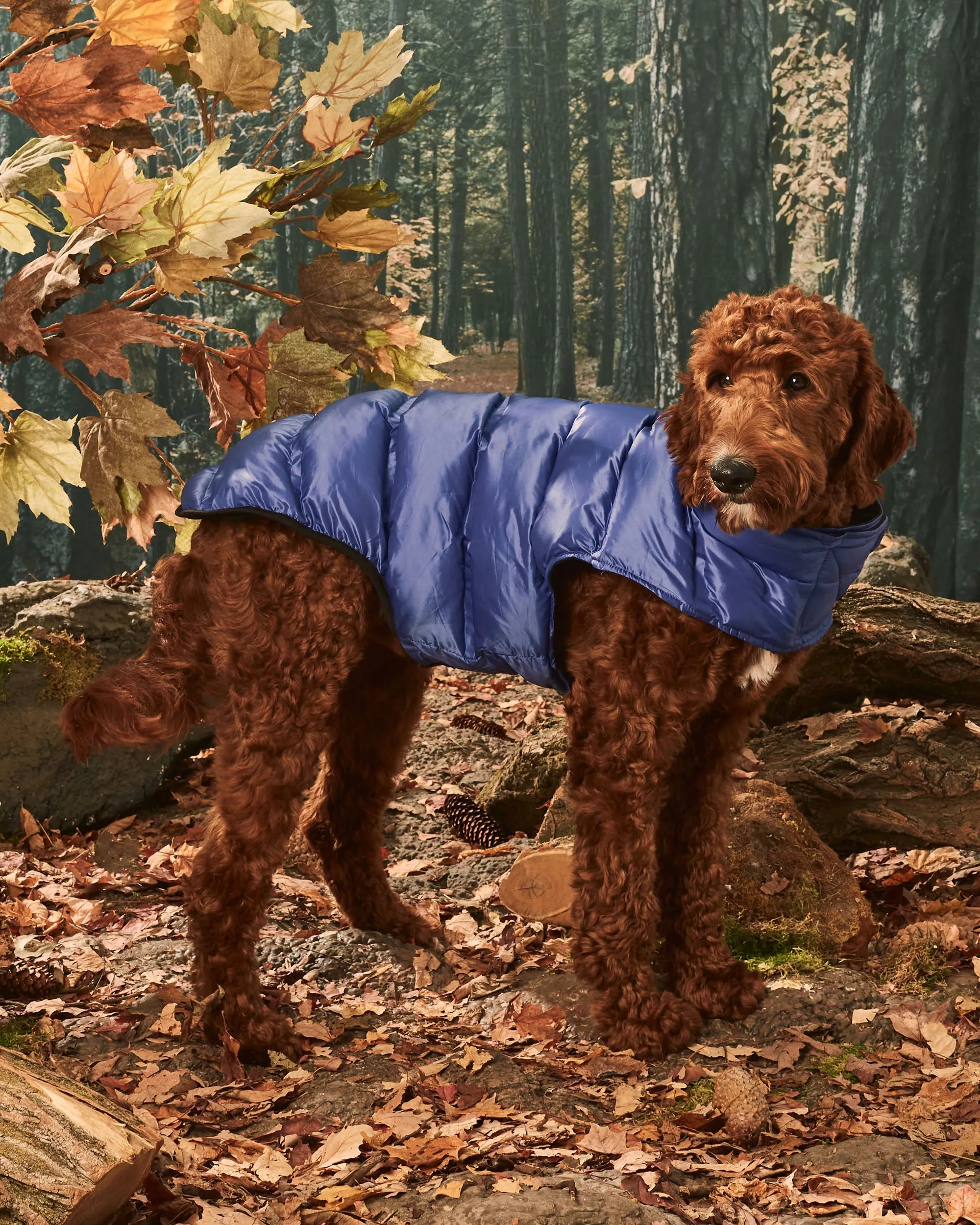 Hotel Doggy Quilted Perfect Puffer Vest