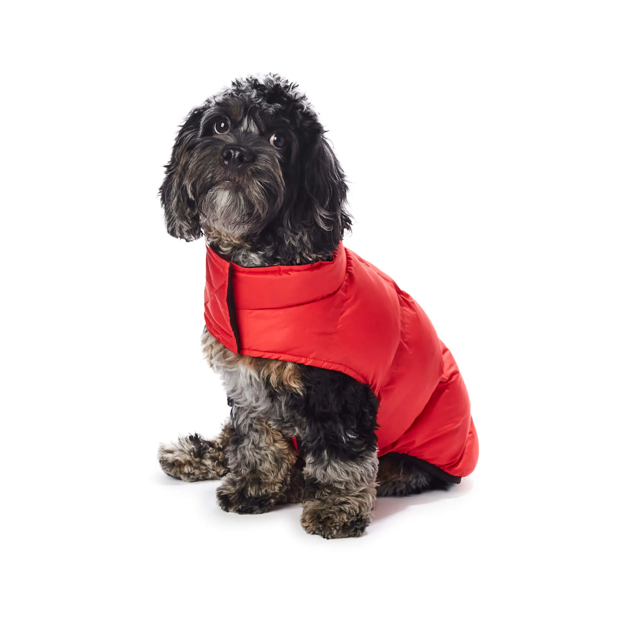 Hotel Doggy Quilted Perfect Puffer Vest