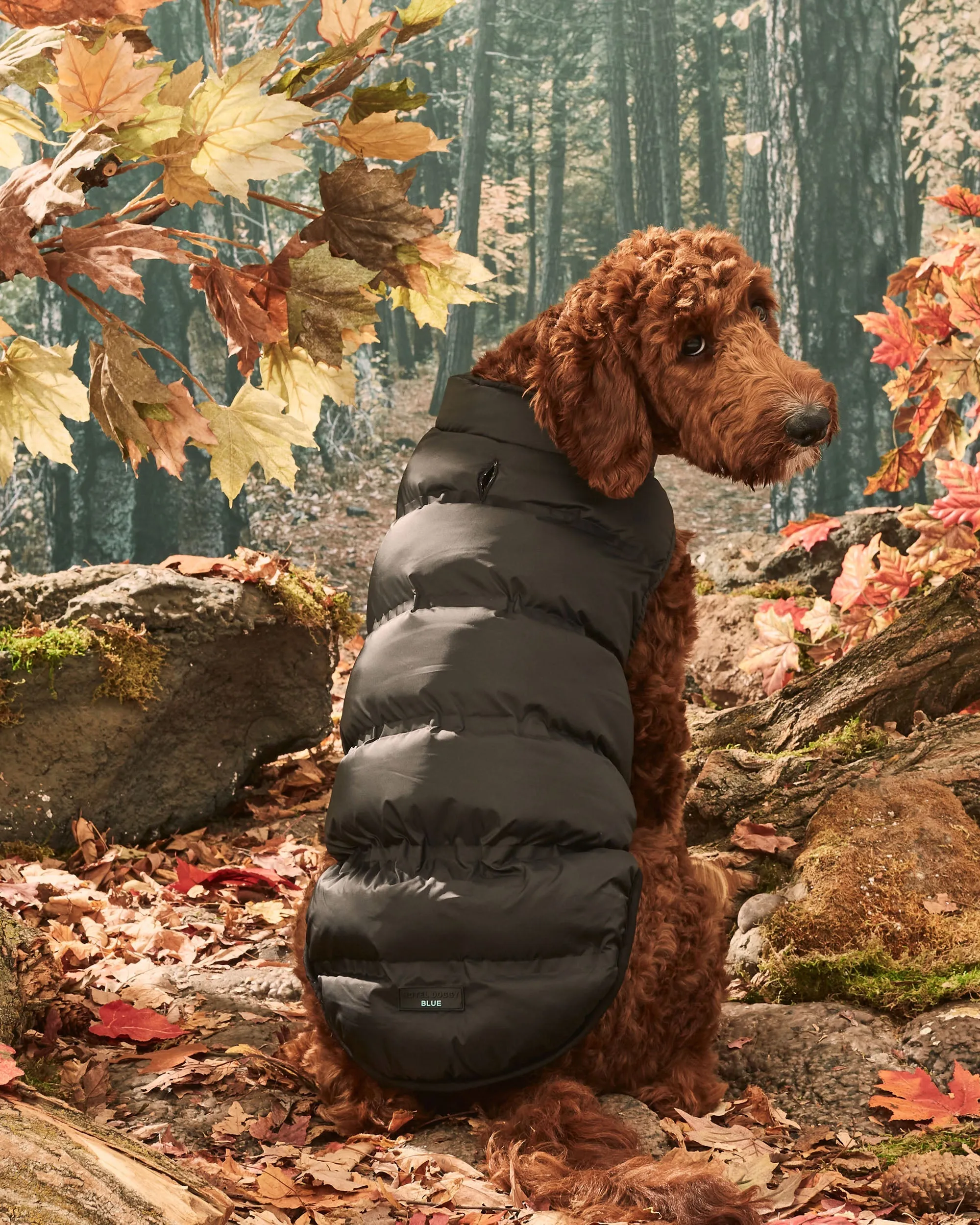 Hotel Doggy Quilted Perfect Puffer Vest