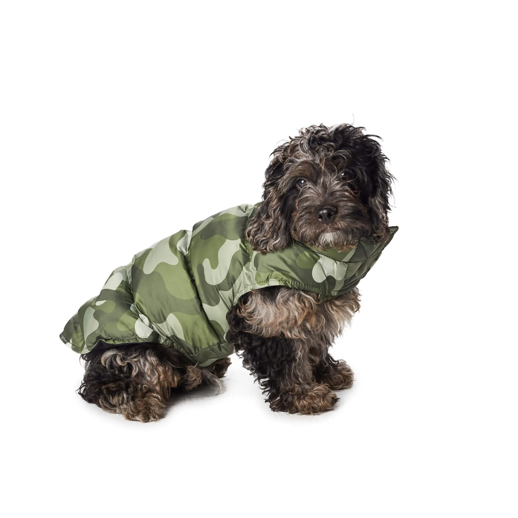 Hotel Doggy Quilted Perfect Puffer Vest